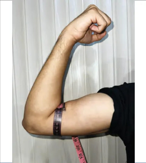 How to measure lower biceps